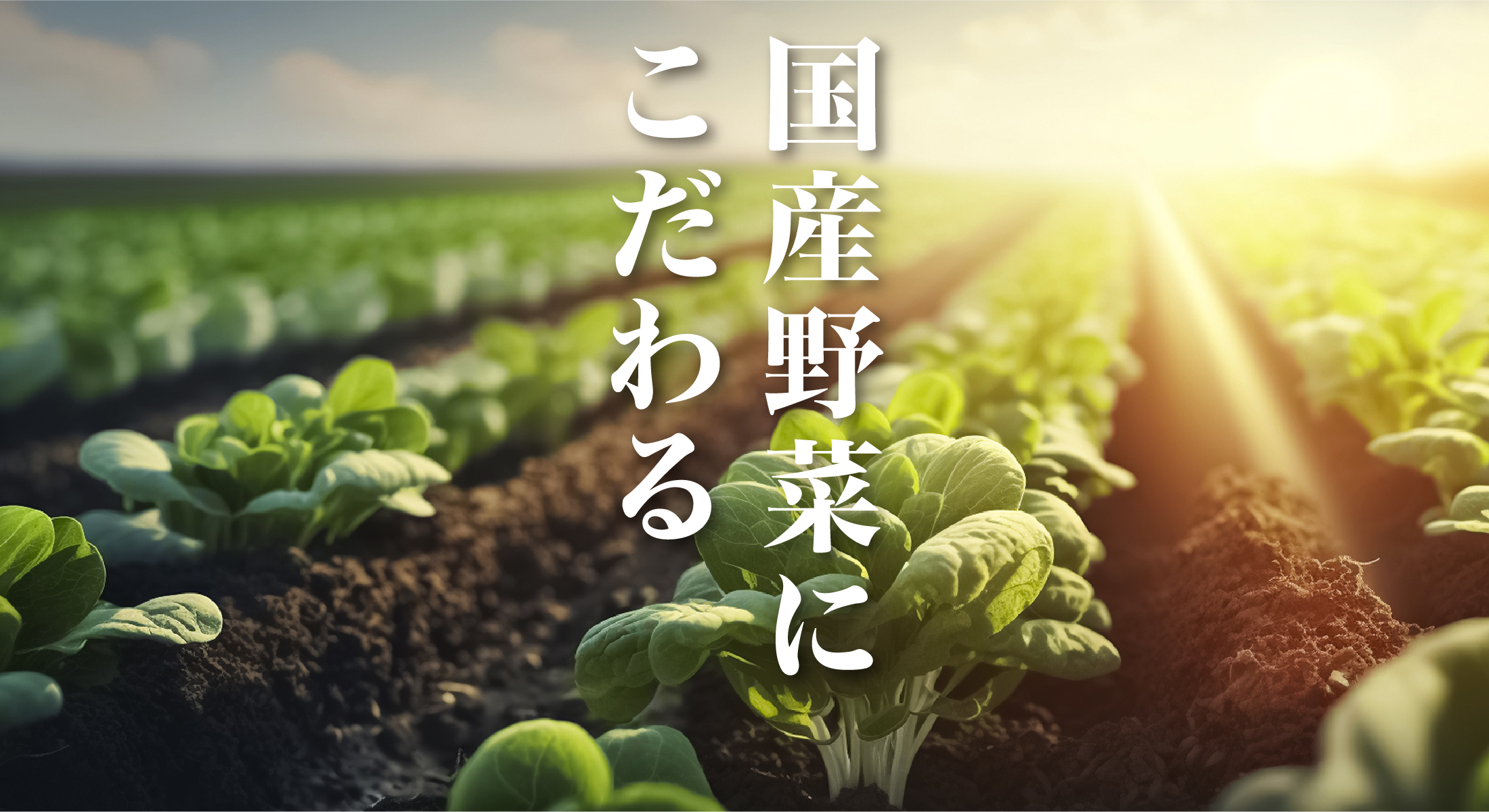 国産野菜にこだわる