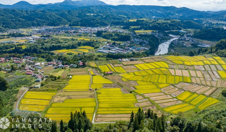 椹平(くぬぎだいら)の棚田（朝日町）