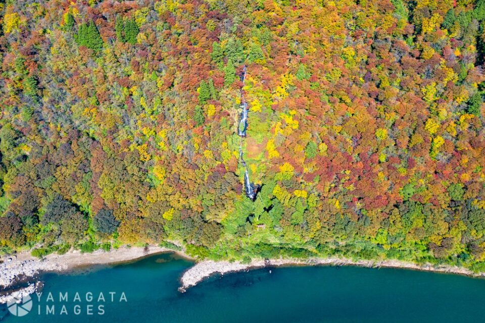 紅葉の白糸の滝（西川町・戸沢村）