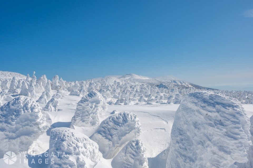 蔵王の樹氷（山形市）