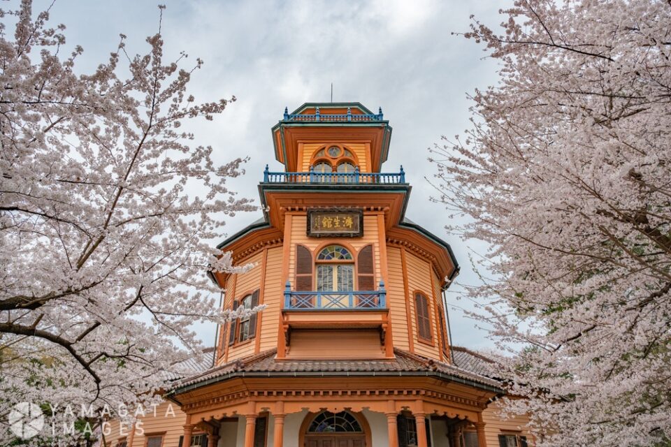 旧済生館本館（山形市郷土館）と桜（霞城公園）