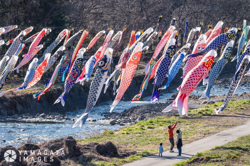 高瀬川のこいのぼり（山形市）