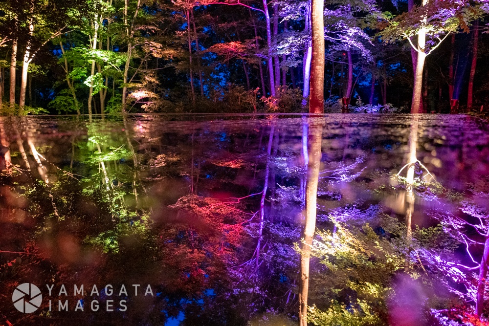 空気神社フォトジェニックライトアップ「空気の森 音と光のハートピア」