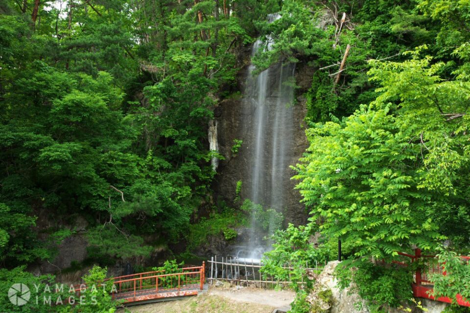 東沢バラ公園 寿老の滝（村山市）
