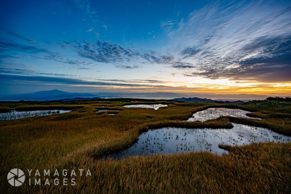 月山弥陀ヶ原湿原（鶴岡市）
