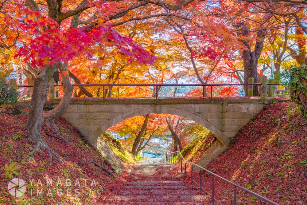 烏帽子山公園の紅葉（南陽市）