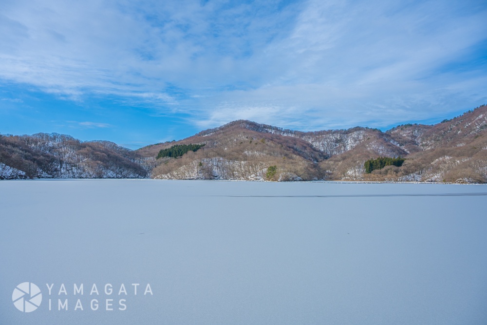 大山下池（鶴岡市）