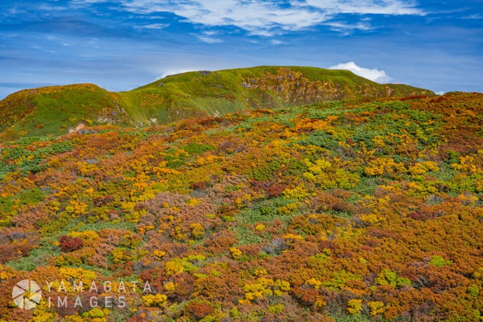 鳥海山の紅葉（酒田市）